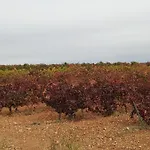 Сasa de vacaciones Sarmiento Cubillas de Santa Marta