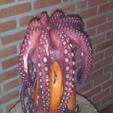 Sarmiento 큐빌라즈드산타마르타