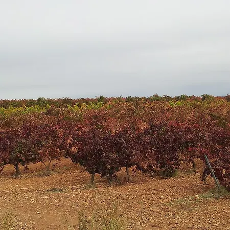 Casa vacanze Sarmiento Cubillas de Santa Marta