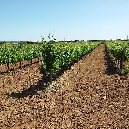 Casa vacanze Sarmiento *