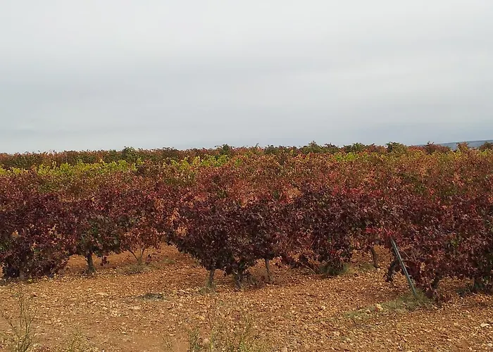 Vakantiehuis Sarmiento Cubillas de Santa Marta