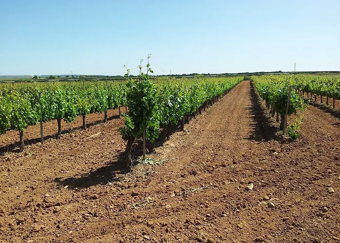 Vakantiehuis Sarmiento *